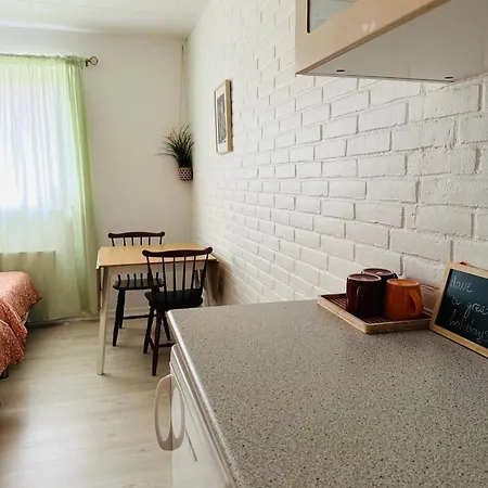 5 Minute Walk To Lego House - Location - Garden On Site-n4