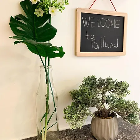 Apartamento 5 Minute Walk To Lego House - Location - Garden On Site-n4 *