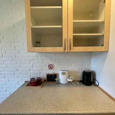 5 Minute Walk To Lego House - Location - Garden On Site-n4